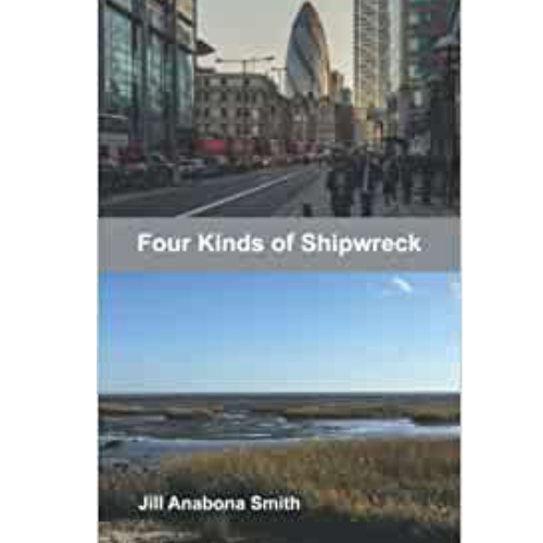 Four Kinds of Shipwreck Cover