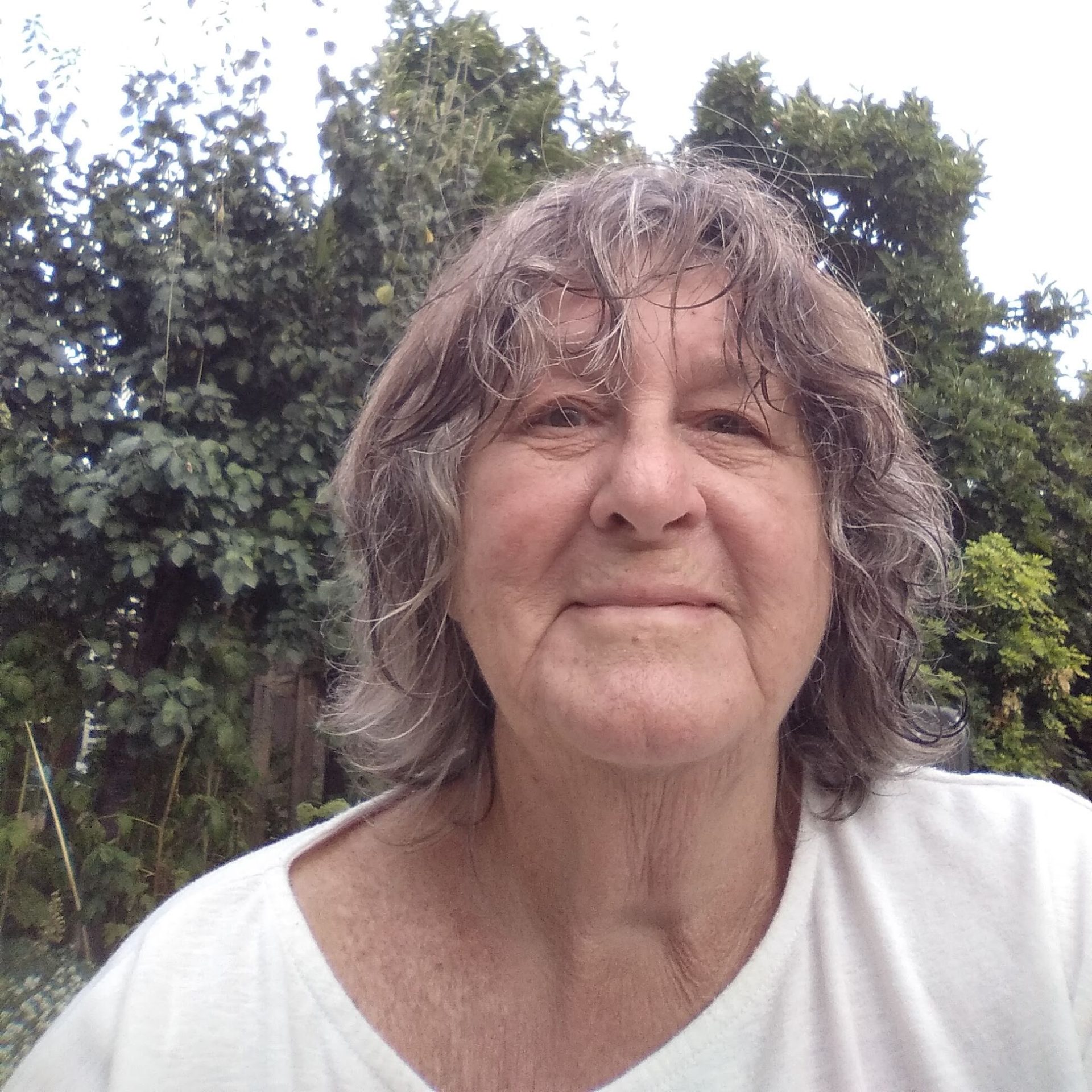 Write On! Interviews Author Elizabeth Freeman Pen To Print