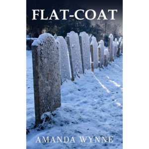 Flat-Coat - Image of a line of Gravestones in a snowcovered cematary